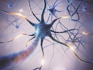 animated nerve endings